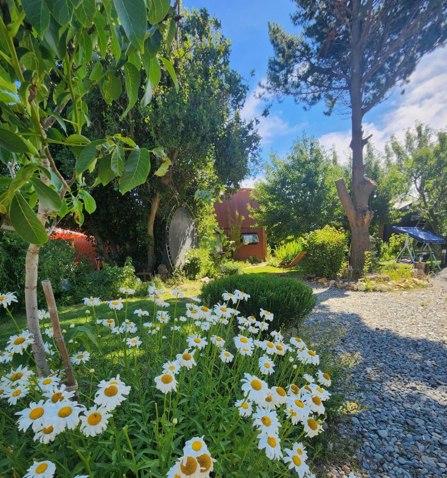 Apartment Aire De Montana: Tu Refugio En San Carlos de Bariloche